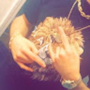 Meet your Posher, Hunter